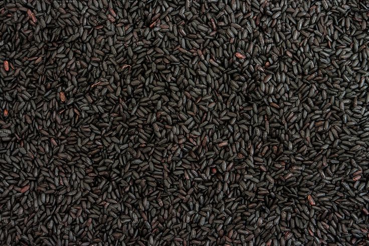 Black Rice