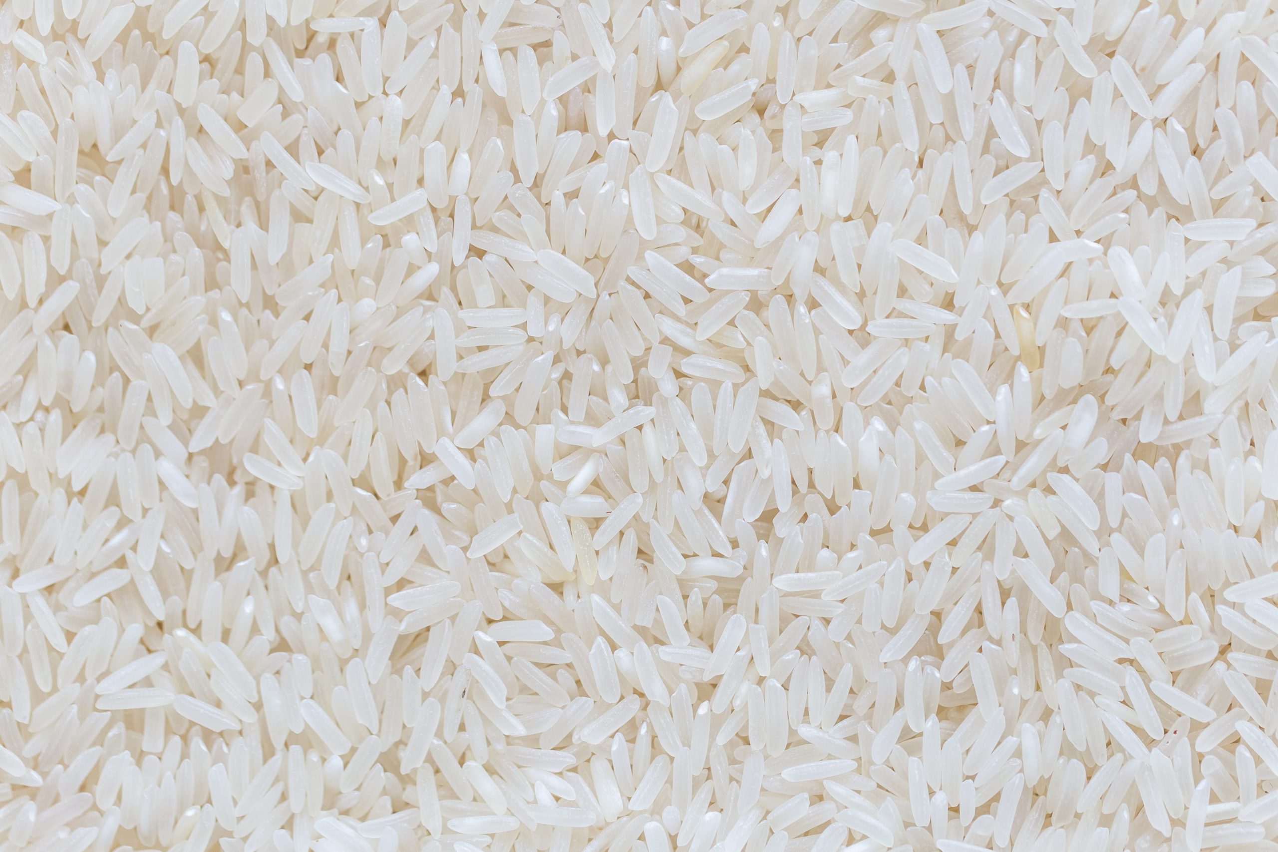 Jasmine Rice