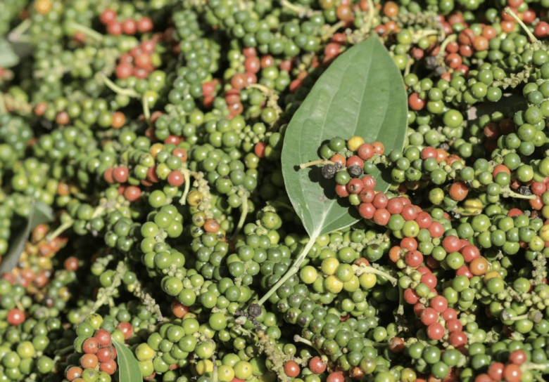 Post-Harvest