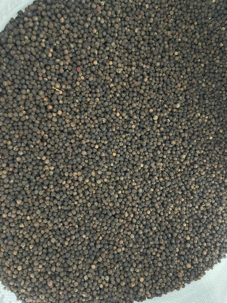 Black Pepper