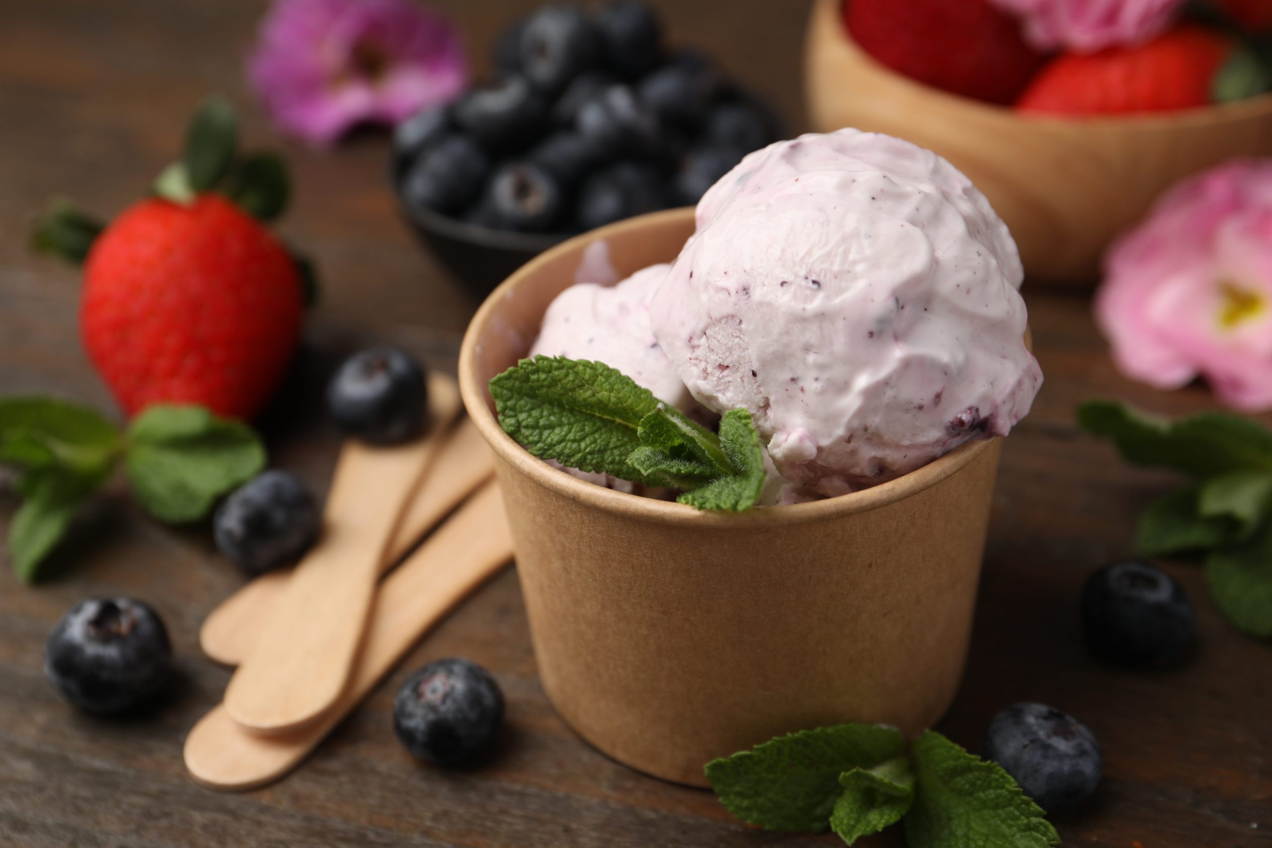 Vegan Ice Cream