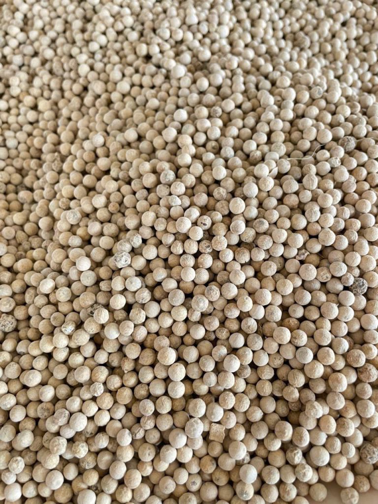 White Pepper