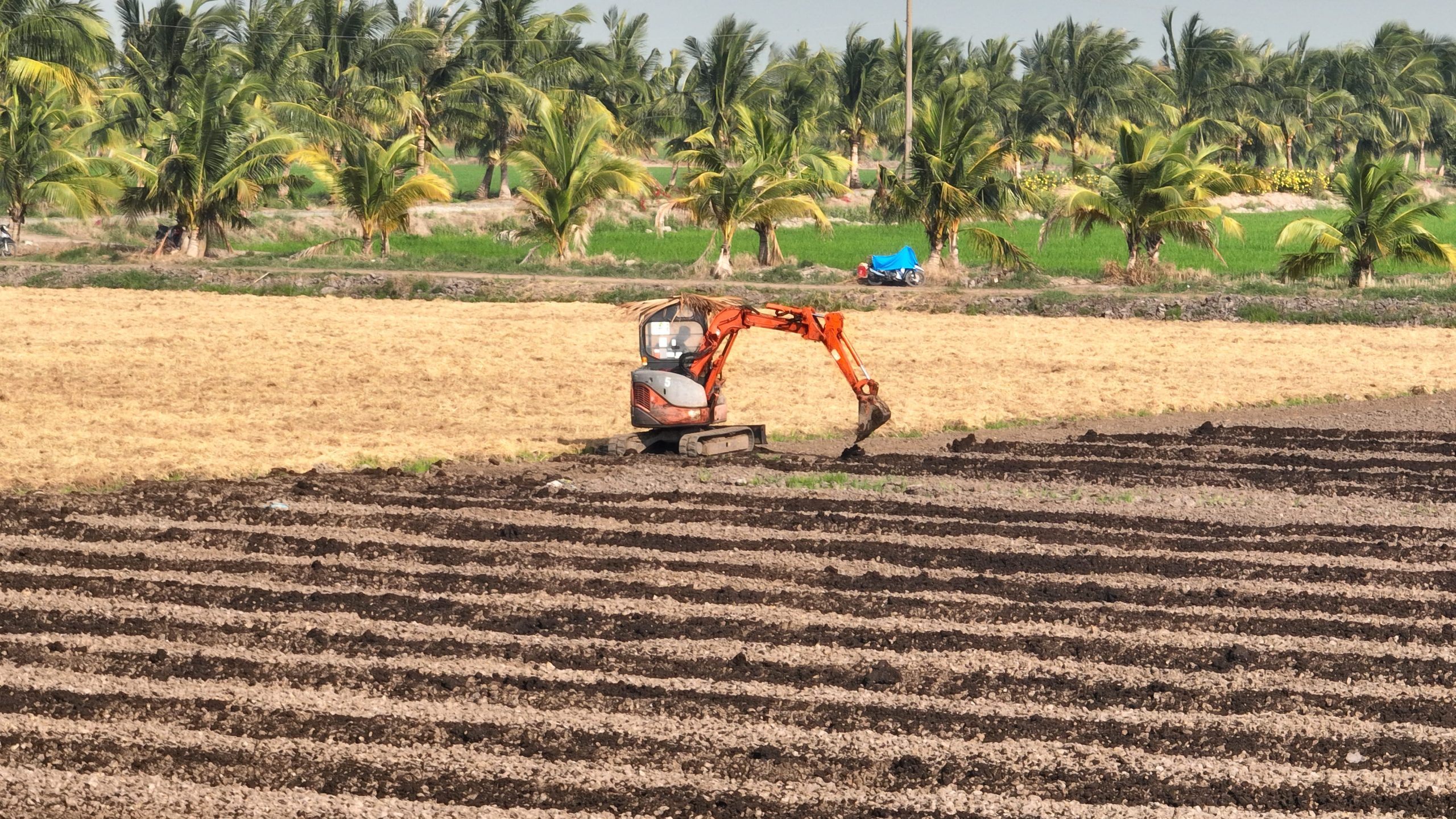 Farmer Harvest
