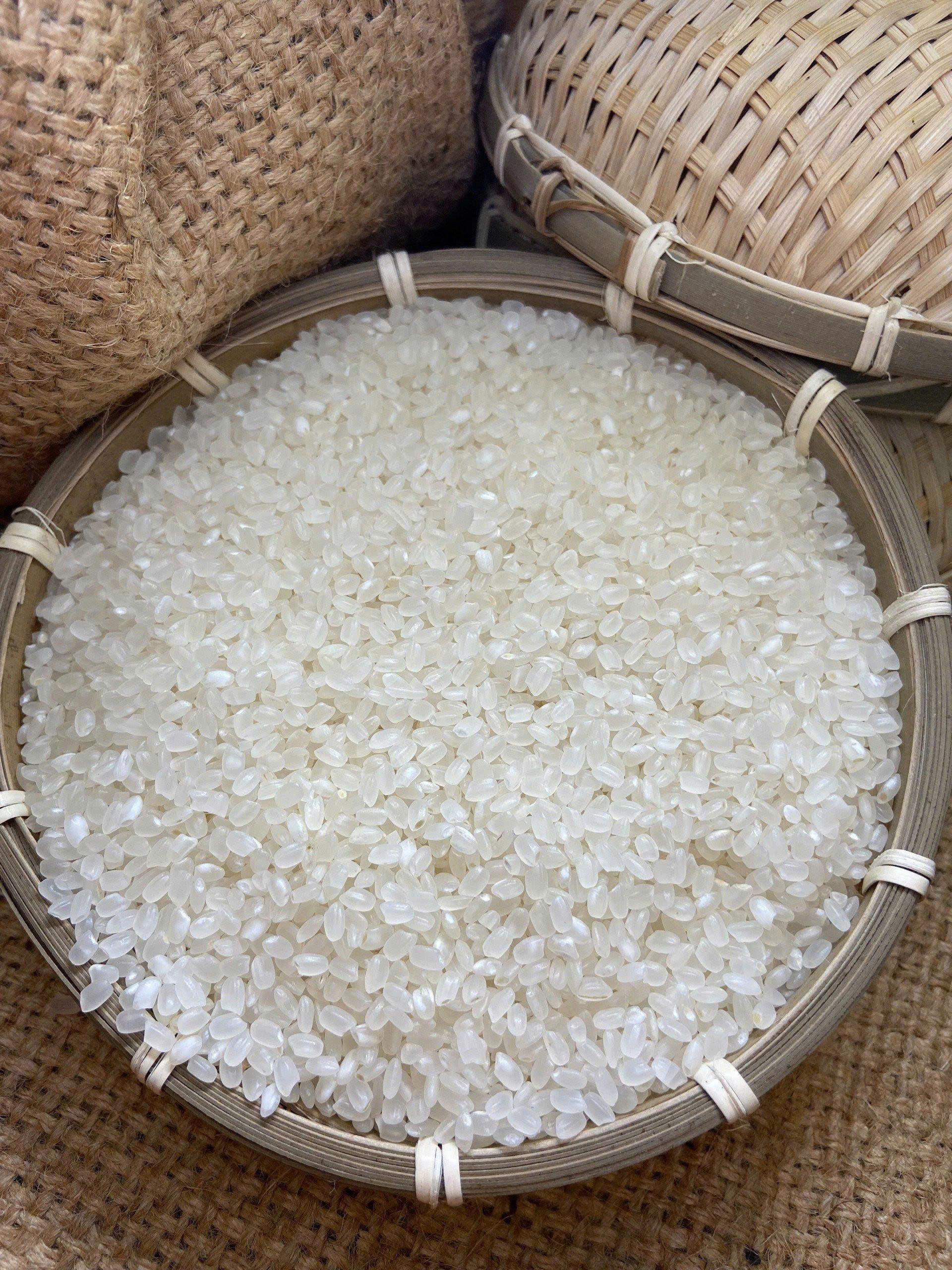 Rice