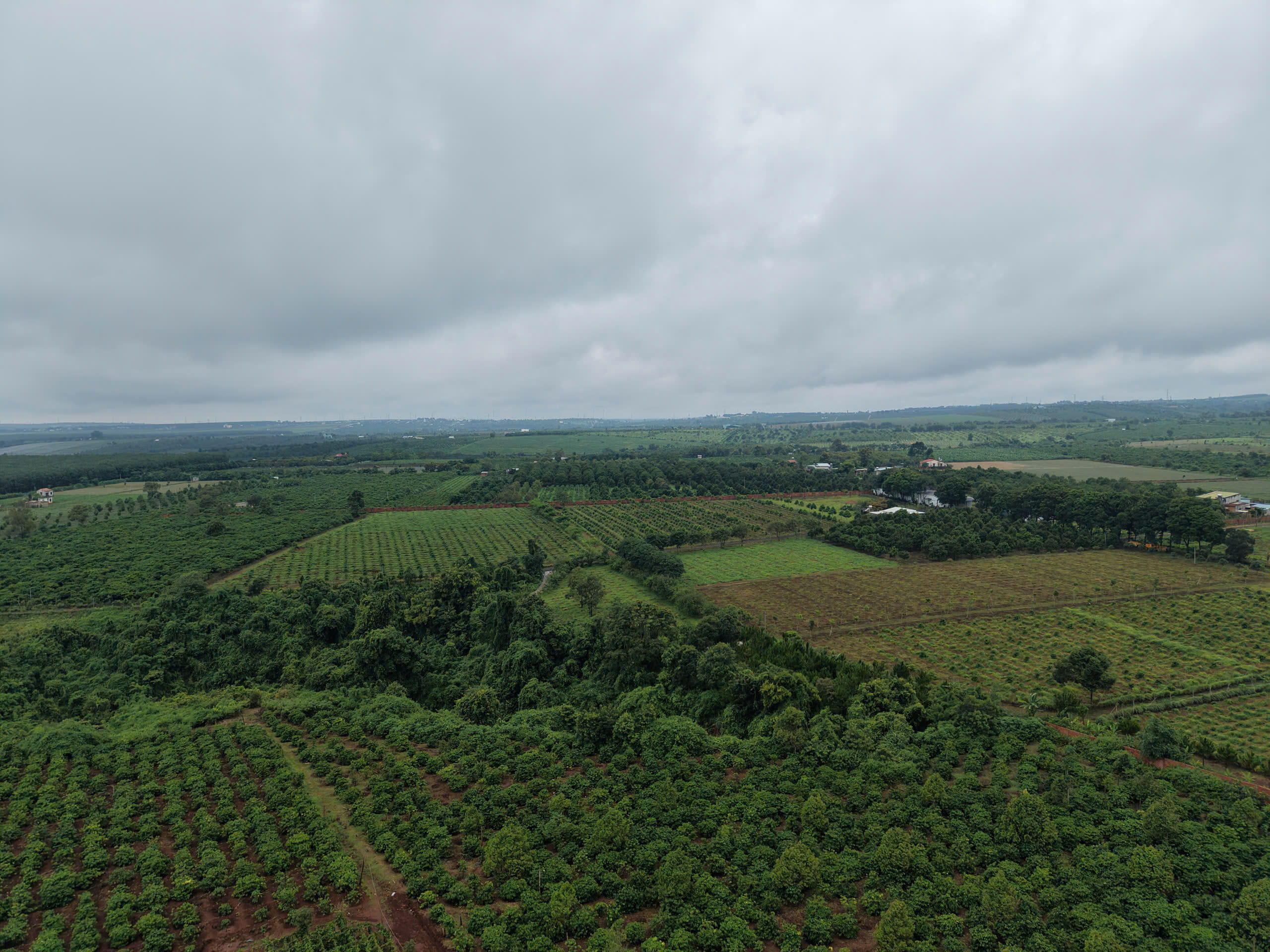 Mareso Model Farm