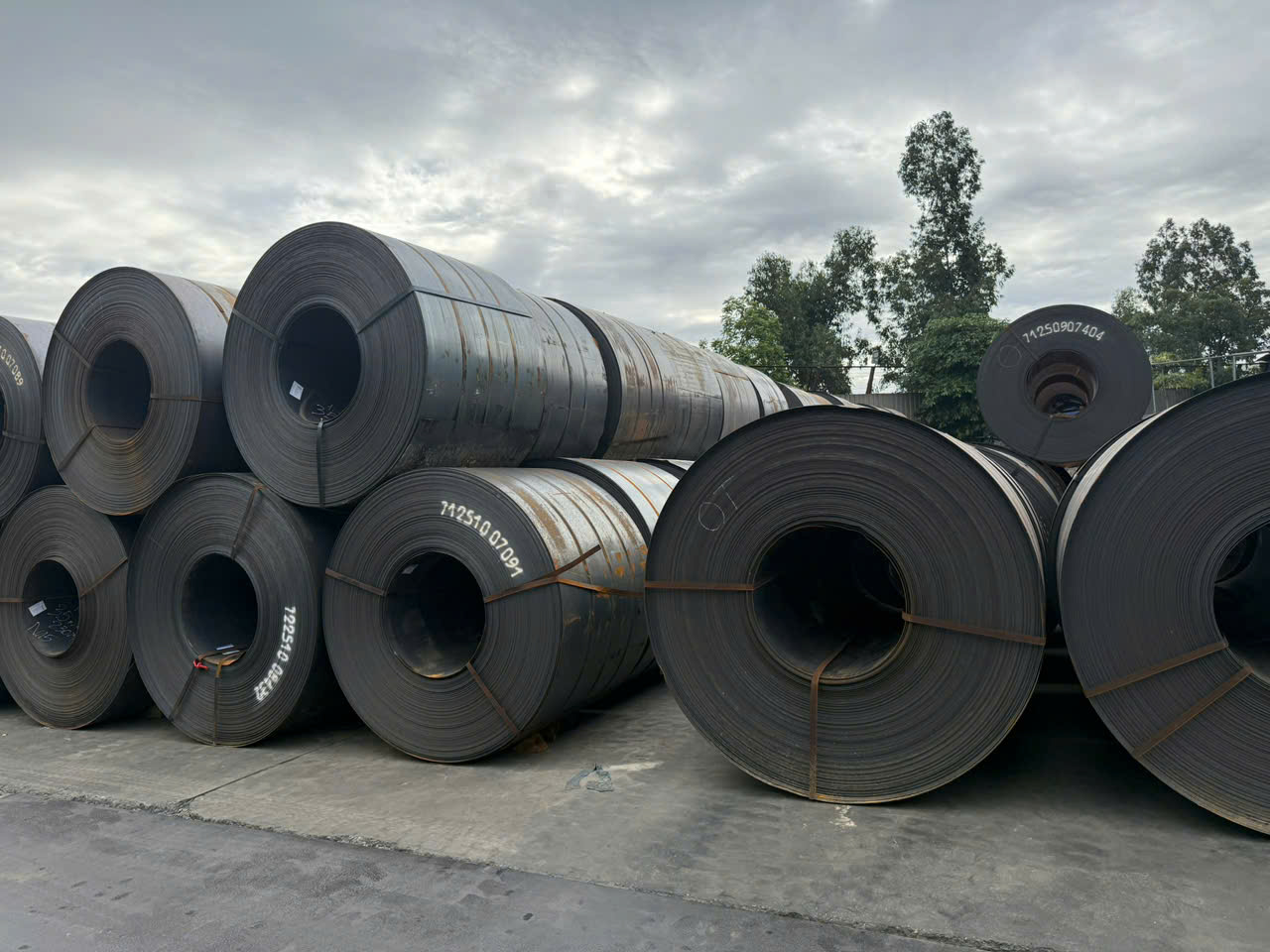Entered Steel Industry