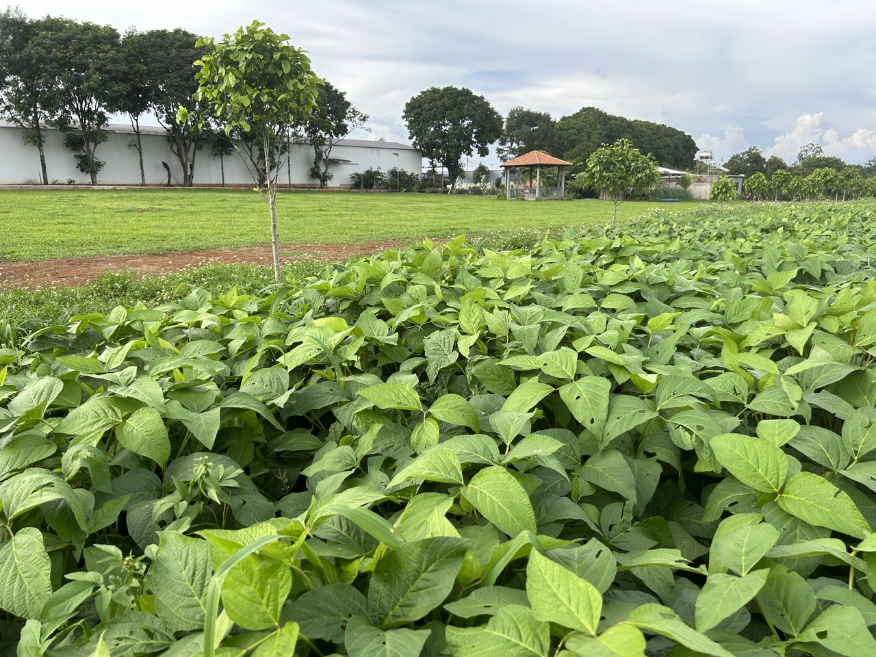 Agri Solutions